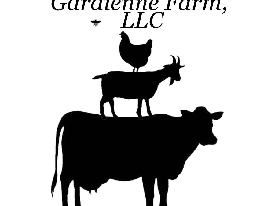 Gardienne Wings & Goats