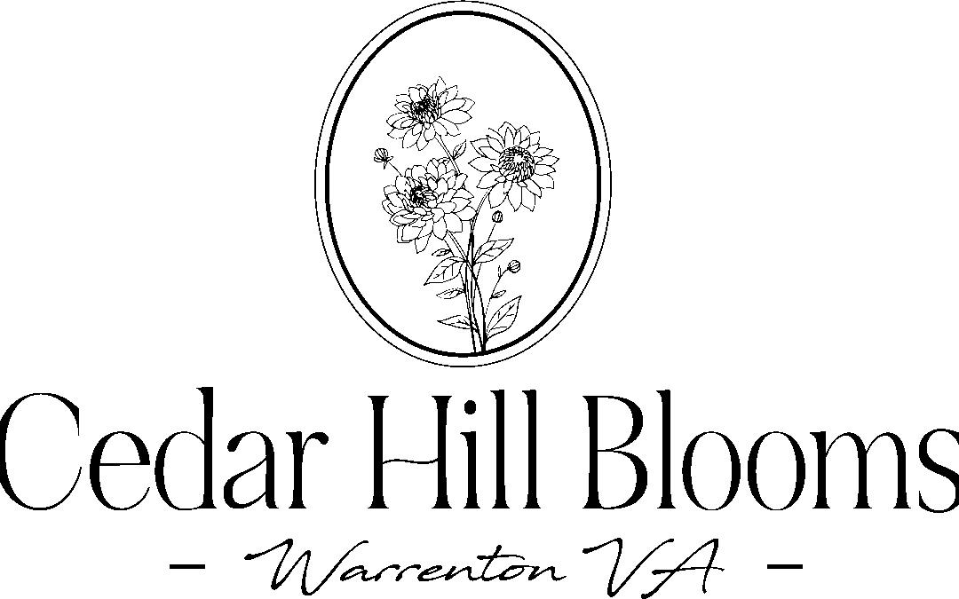 Cedar Hill Blooms